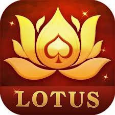 rummy star 51 bonus apk download